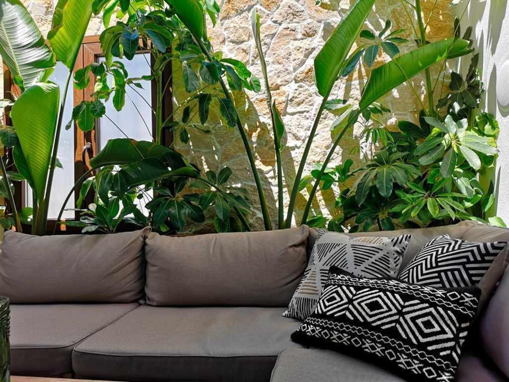 Casa Rural Albireo Rebosante De Luz Y Naturaleza Sanlúcar de Guadiana エクステリア 写真